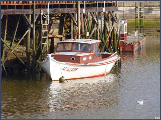 Pinasse et bateau chaland à quai 