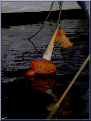 Corps-mort et ses reflets de nuit