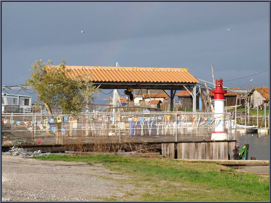 Terrasse d'une dégustation sur le port 