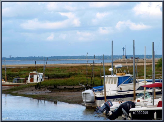 Bateaux de plaisance amarrés au port 