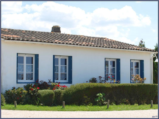 Maison et ruelle à Talmont-sur-Gironde (Charente-Maritime) 
