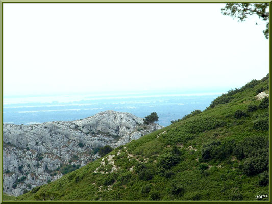 Vue panoramique des hauteurs du massif de La Caume dans les Alpilles (Bouches du Rhône)