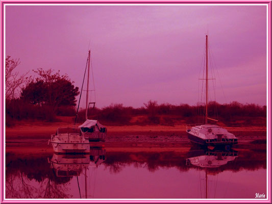 Soleil couchant sur les voiliers à l'entrée du port