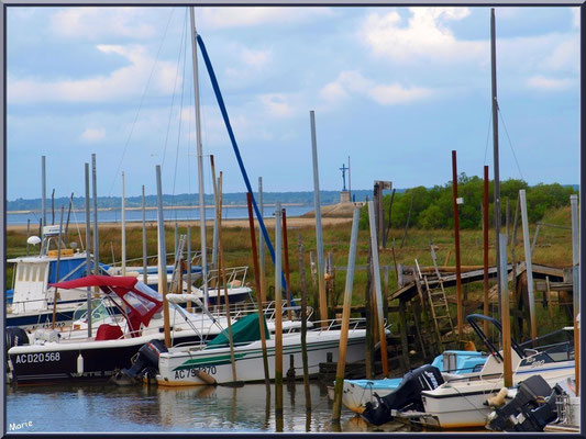 Bateaux de plaisance amarrés au port 