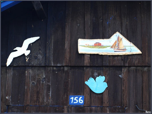 Cabane 156, détail, au port ostréicole de La Teste de Buch (Bassin d'Arcachon)