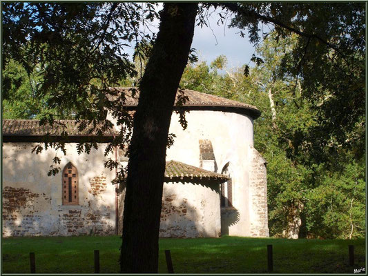 Eglise St Michel du Vieux Lugo à Lugos (Gironde) : façade Sud et le choeur à droite derrière les chênes