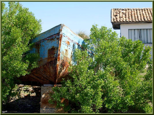 Cabane au vieux bateau 