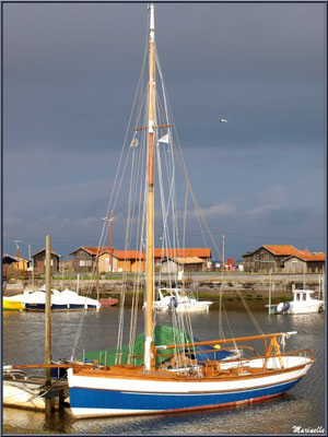 Argo II, réplique d'un canot sardinier, à quai