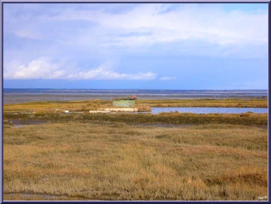 Tonne et son lac dans les prés salés