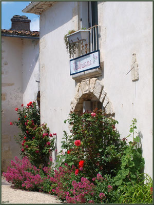 Ruelle et boutique à Talmont-sur-Gironde (Charente-Maritime) 