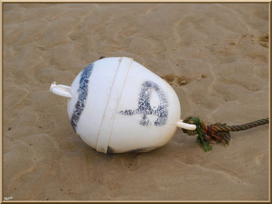 Corps-mort sur le sable