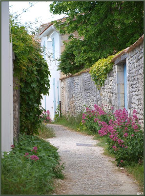 Ruelle fleurie à Talmont-sur-Gironde (Charente-Maritime)