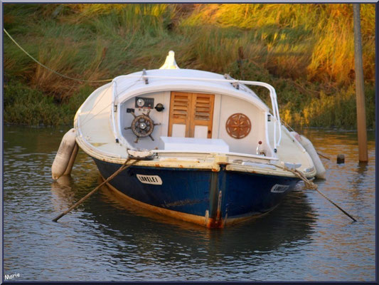 Pinasse ancrée au port