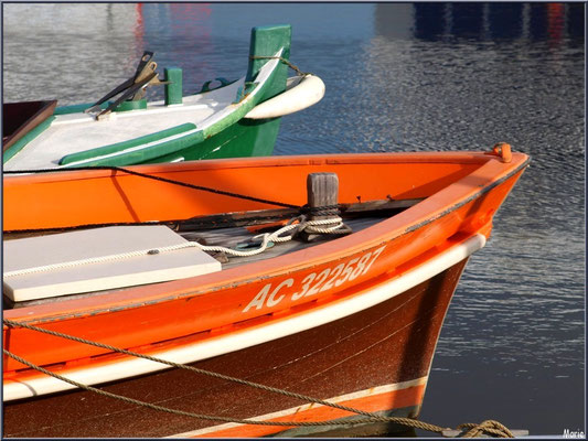 Proues de bateaux à quai 