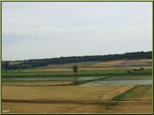 Aqueduc à Fontvielle dans les Alpilles (Bouches du Rhône), paysage et panorama en son extrémité : champs et rizières