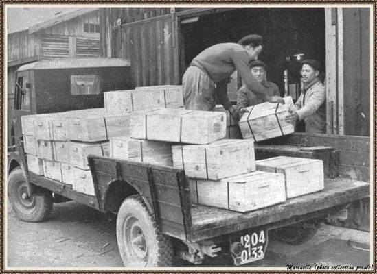 Embarquement des colis d'huîtres pour l'expédition