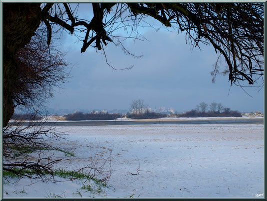 Plage et tamaris en habit neigeux, Arcachon à l'horizon (février 2012)