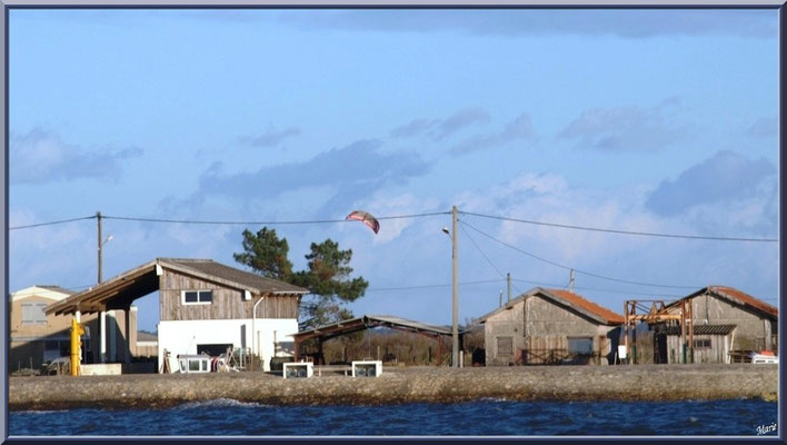 Voile de winsurf au-desus du port 