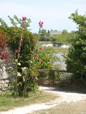 Ruelle fleurie avec vue sur La Gironde à Talmont-sur-Gironde (Charente-Maritime)