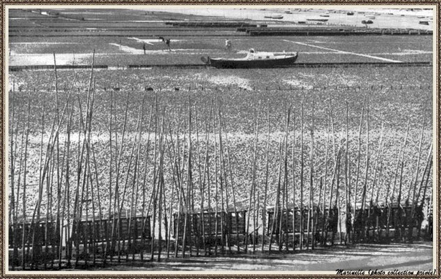 Parc à huîtres, pinasse et parqueurs au travail