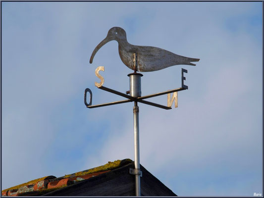 Girouette sur le toit d'une cabane au port ostréicole de La Teste de Buch (Bassin d'Arcachon)