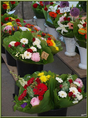 Marché de Provence, samedi matin à Arles (13), étal de fleurs