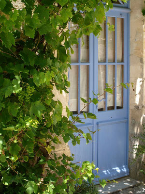 Porte bleue à la vigne à Talmont-sur-Gironde (Charente-Maritime)