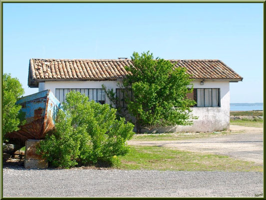 Cabane au vieux bateau 