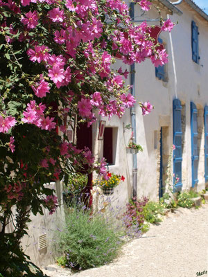 Ruelle et maisons à Talmont-sur-Gironde (Charente-Maritime) 