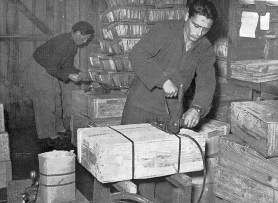 Fermeture des colis d'huîtres (cerclage) pour expédition