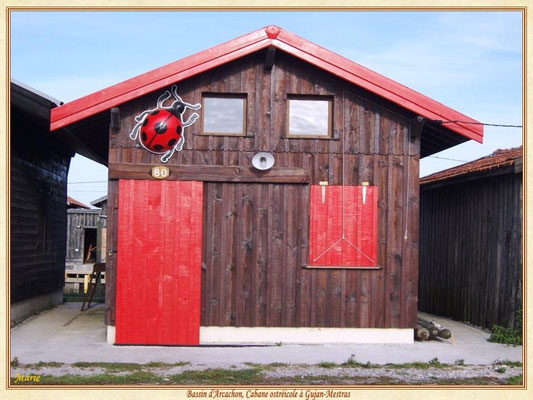 Cabane 80 et sa coccinelle géante