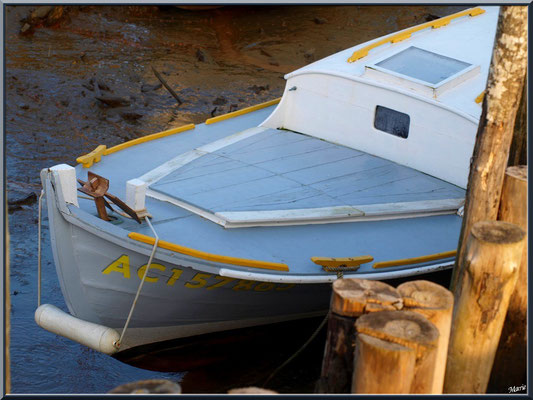 Pinasse "Mannisa", proue