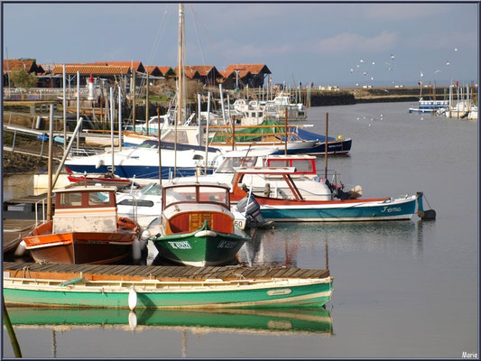 Port de Larros et ses bateaux colorés 