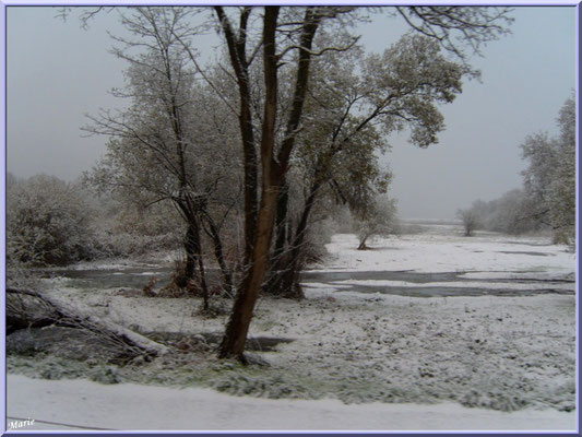 Les prés salés Ouest de La Teste de Buch sous la neige en décembre 2010 (Bassin d'Arcachon)