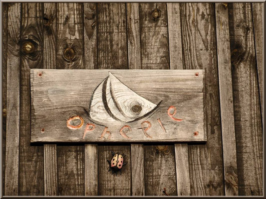 Cabane "Ophélie" et sa coccinelle 