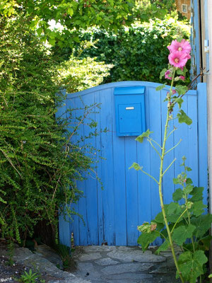 Portail bleu aux valérianes à Talmont-sur-Gironde (Charente-Maritime)