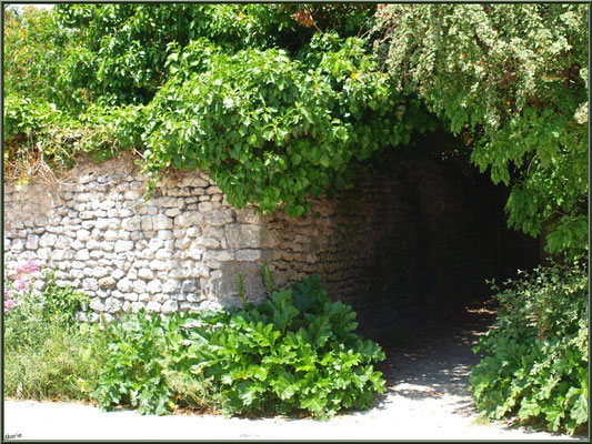 Ruelle verdoyante à Talmont-sur-Gironde (Charente-Maritime)