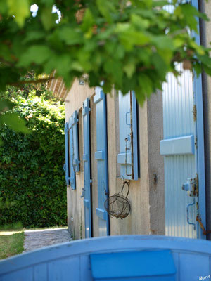 Maison aux volets bleus et panier à salade à Talmont-sur-Gironde (Charente-Maritime) 