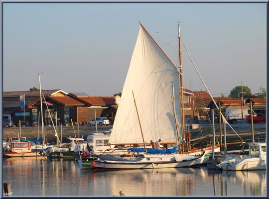 Pinasse à voile, pinasse et autres bateaux 