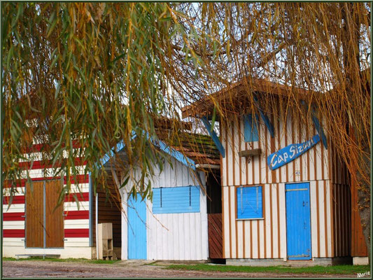 Alignement de cabanes colorées au port de Biganos (Bassin d'Arcachon)