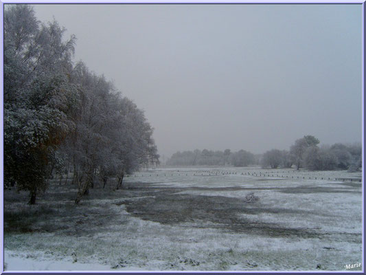 Les prés salés Ouest de La Teste de Buch sous la neige en décembre 2010 (Bassin d'Arcachon)