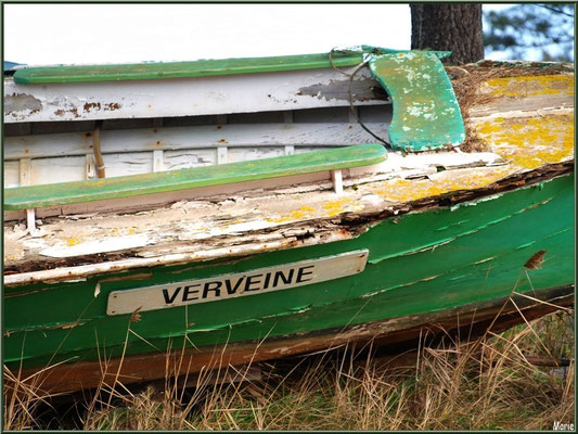 Pinasse "Verveine", épave 