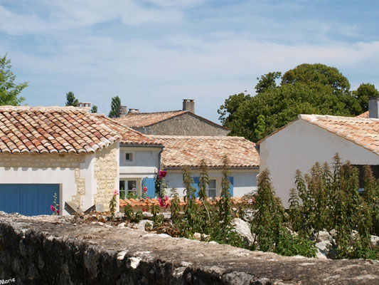 Ruelle et maisons à Talmont-sur-Gironde (Charente-Maritime) 