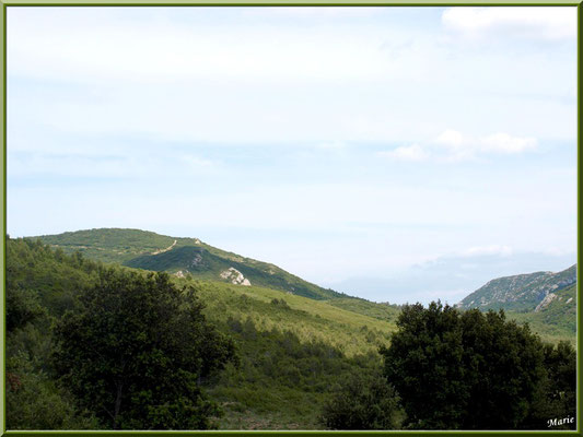 Les Alpilles (Bouches du Rhône)