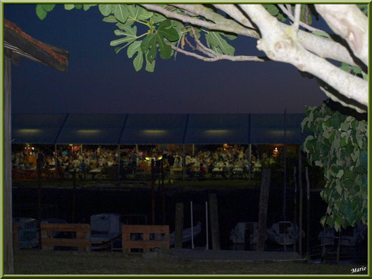 C'est la nuit et la fête bat son plein !