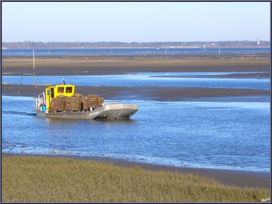 Bateau chaland chargé de poches d'huîtres rentrant au port