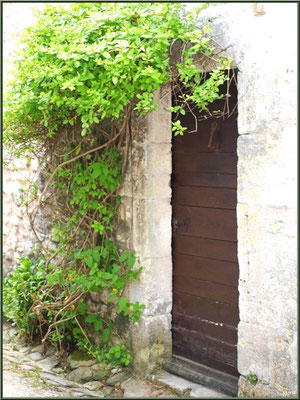 Porte ancienne verdoyante à Talmont-sur-Gironde (Charente-Maritime)