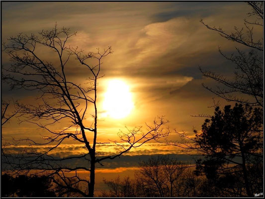 Coucher du soleil depuis le port 