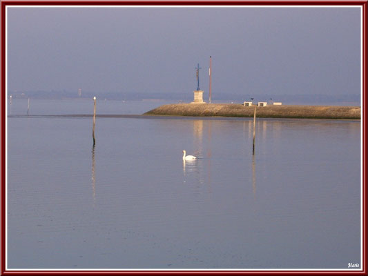 Cygne et la Jetée du Christ
