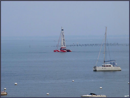 Arcachon, "Ville d'Automne", au matin, catamaran "Café de la Plage" et autres bateaux sur le Bassin